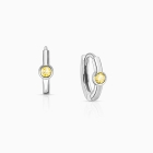 November Birthstone